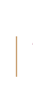 Decorativo 1